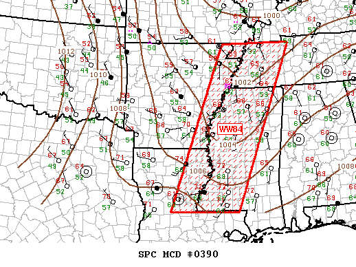 Mesoscale Discussion 390