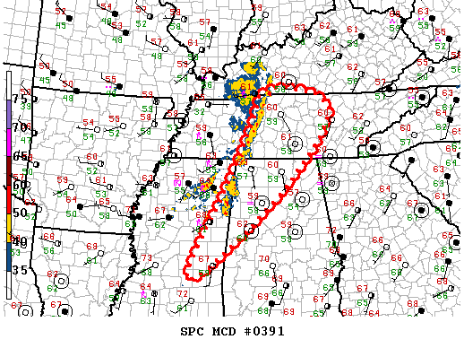 Mesoscale Discussion 391