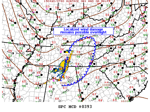 Mesoscale Discussion 393
