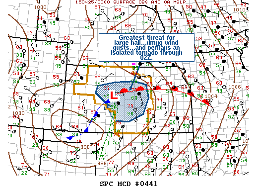 Mesoscale Discussion 441