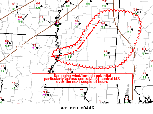 Mesoscale Discussion 446