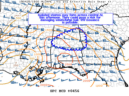Mesoscale Discussion 456