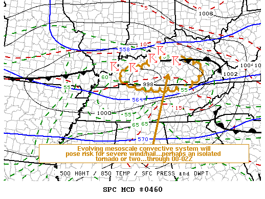 Mesoscale Discussion 460