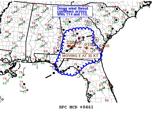 Mesoscale Discussion 461