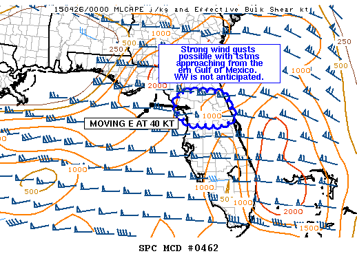 Mesoscale Discussion 462