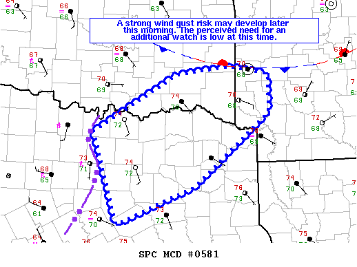 Mesoscale Discussion 581