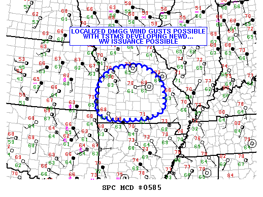 Mesoscale Discussion 585