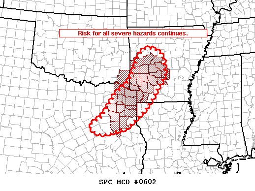Mesoscale Discussion 602