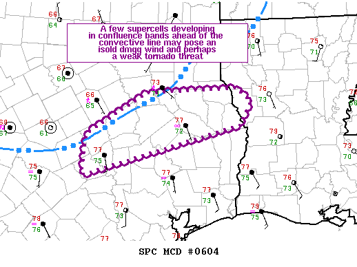 Mesoscale Discussion 604