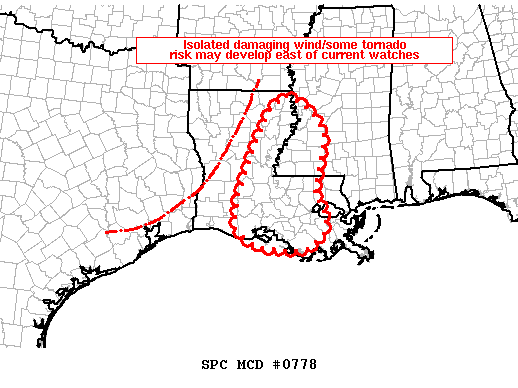 Mesoscale Discussion 778