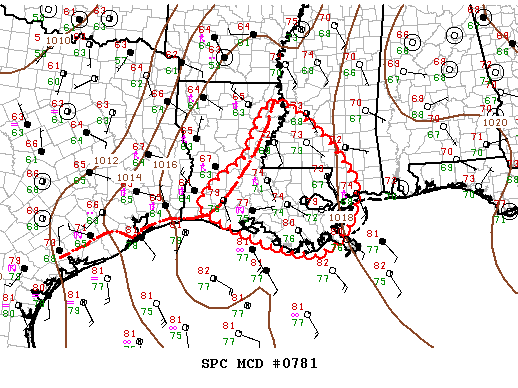 Mesoscale Discussion 781
