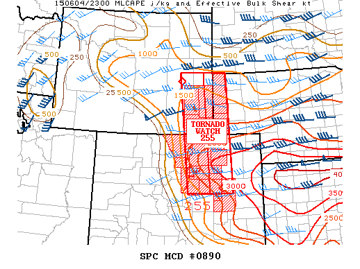 Mesoscale Discussion 890