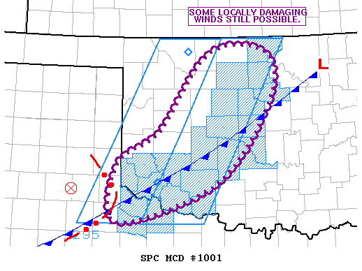 Mesoscale Discussion 1001