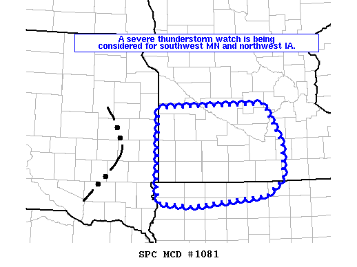 Mesoscale Discussion 1081