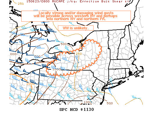 Mesoscale Discussion 1130