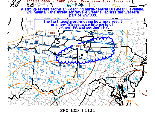 Mesoscale Discussion 1131
