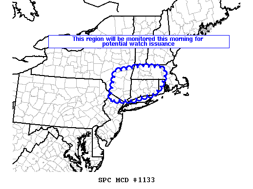 Mesoscale Discussion 1133