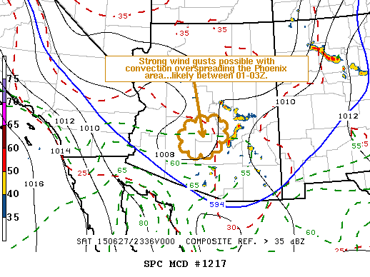 Mesoscale Discussion 1217