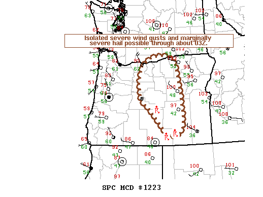 Mesoscale Discussion 1223
