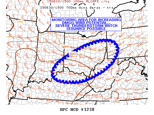 Mesoscale Discussion 1238