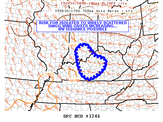 Mesoscale Discussion 1246