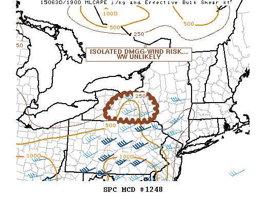 Mesoscale Discussion 1248