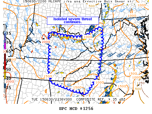 Mesoscale Discussion 1256