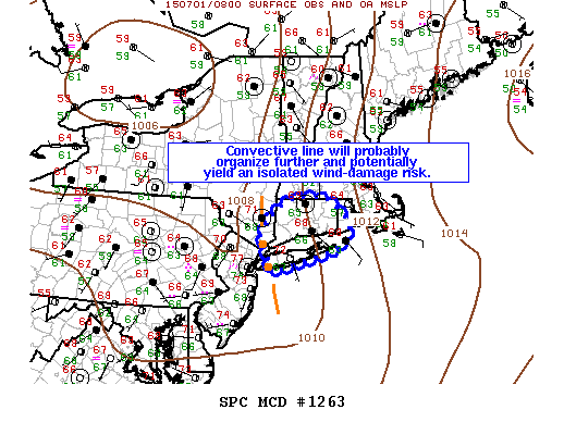 Mesoscale Discussion 1263