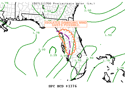 Mesoscale Discussion 1376