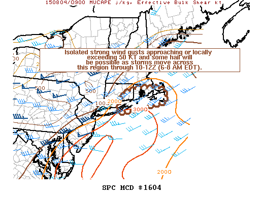 Mesoscale Discussion 1604