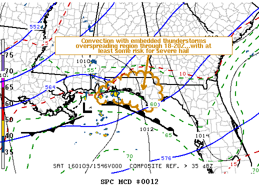 Mesoscale Discussion 12