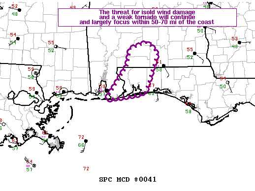 Mesoscale Discussion 41
