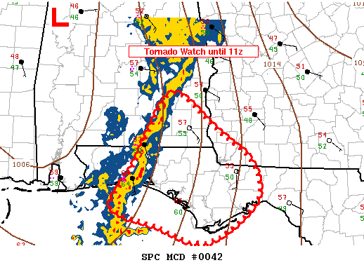 Mesoscale Discussion 42