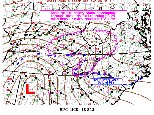 Mesoscale Discussion 43