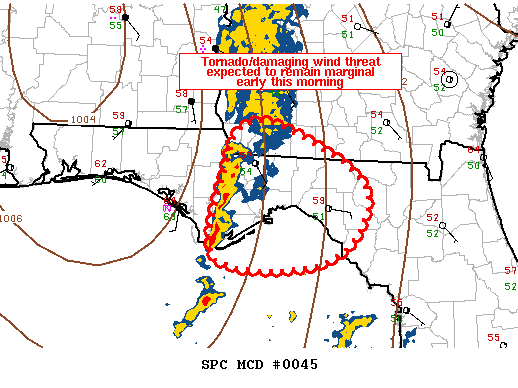 Mesoscale Discussion 45