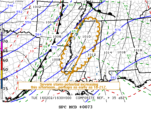 Mesoscale Discussion 73