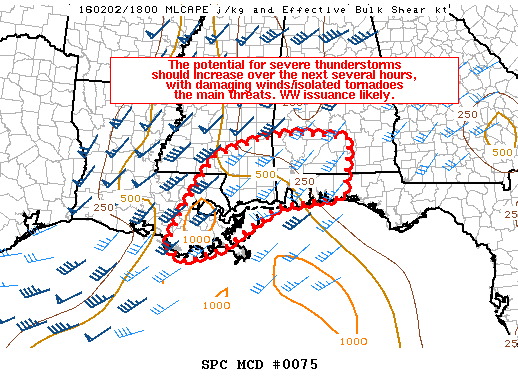 Mesoscale Discussion 75