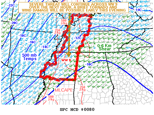 Mesoscale Discussion 80