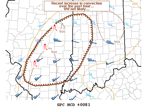 Mesoscale Discussion 81
