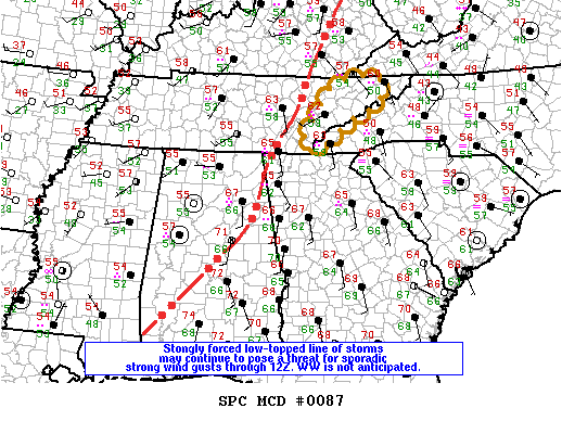 Mesoscale Discussion 87