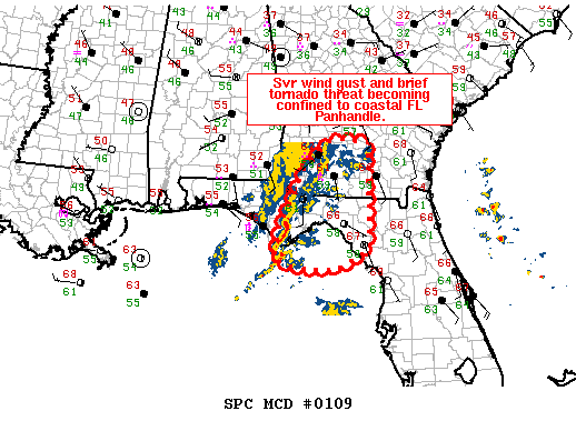 Mesoscale Discussion 109