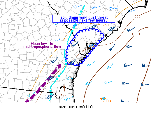 Mesoscale Discussion 110