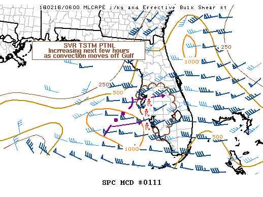 Mesoscale Discussion 111