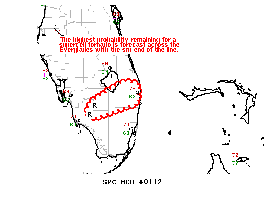 Mesoscale Discussion 112