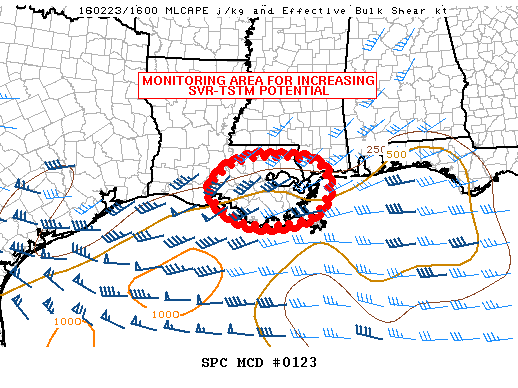 Mesoscale Discussion 123