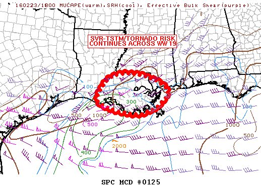 Mesoscale Discussion 125