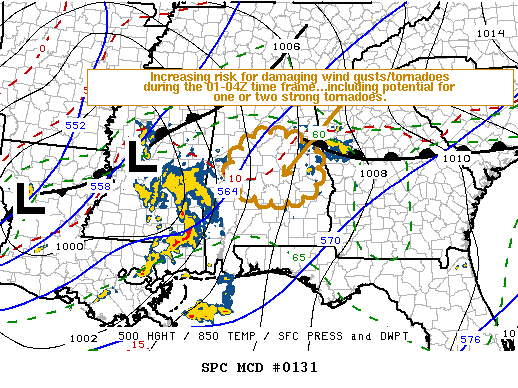 Mesoscale Discussion 131