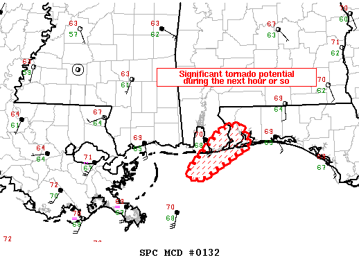 Mesoscale Discussion 132