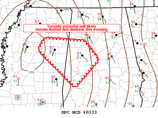 Mesoscale Discussion 133