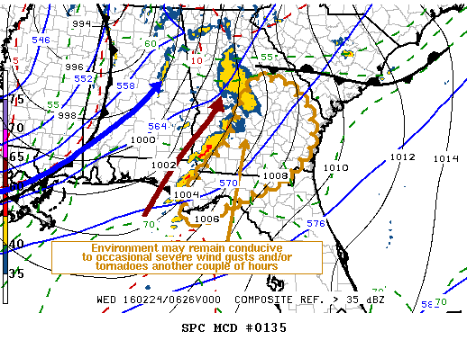 Mesoscale Discussion 135